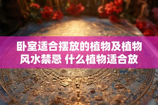 卧室适合摆放的植物及植物风水禁忌 什么植物适合放在卧室植物风水有哪些禁忌