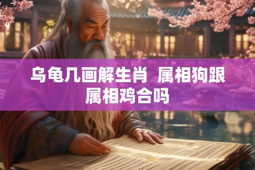 乌龟几画解生肖  属相狗跟属相鸡合吗