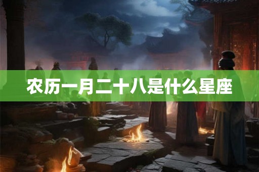 农历一月二十八是什么星座