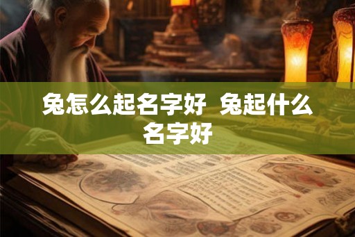 兔怎么起名字好  兔起什么名字好