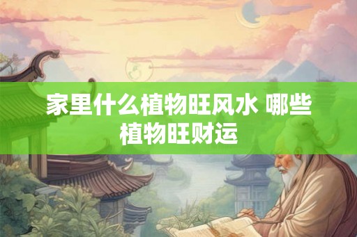 家里什么植物旺风水 哪些植物旺财运