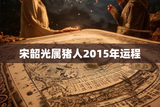 宋韶光属猪人2015年运程