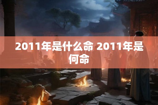 2011年是什么命 2011年是何命