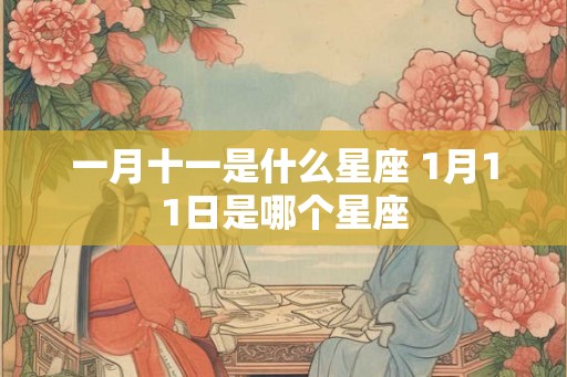 一月十一是什么星座 1月11日是哪个星座