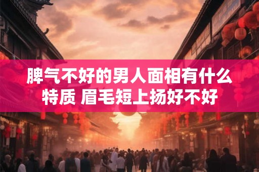 脾气不好的男人面相有什么特质 眉毛短上扬好不好