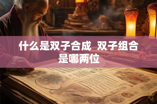 什么是双子合成 双子组合是哪两位 什么是双子合成 双子组合是哪两位