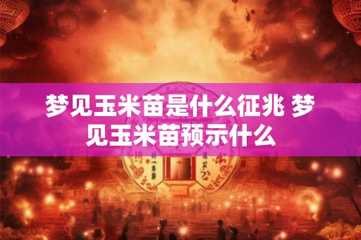 梦见玉米苗是什么征兆 梦见玉米苗预示什么