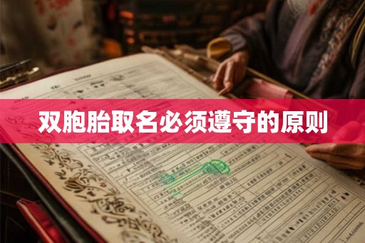 双胞胎取名必须遵守的原则