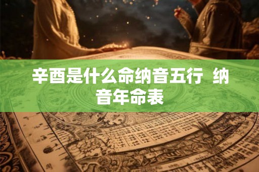 辛酉是什么命纳音五行  纳音年命表
