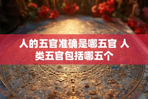 人的五官准确是哪五官 人类五官包括哪五个