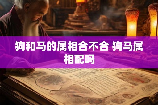 狗和马的属相合不合 狗马属相配吗