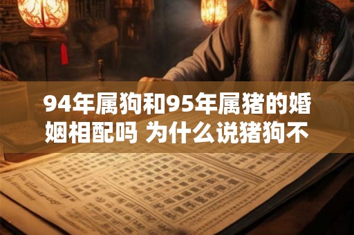 94年属狗和95年属猪的婚姻相配吗 为什么说猪狗不到头