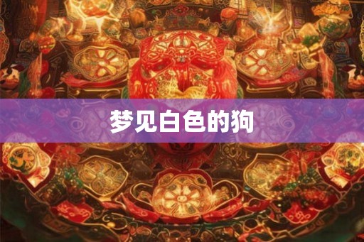 梦见白色的狗 梦见白色的狗
