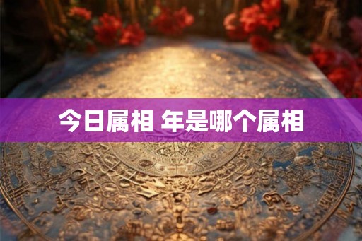 今日属相 年是哪个属相 今日属相 年是哪个属相