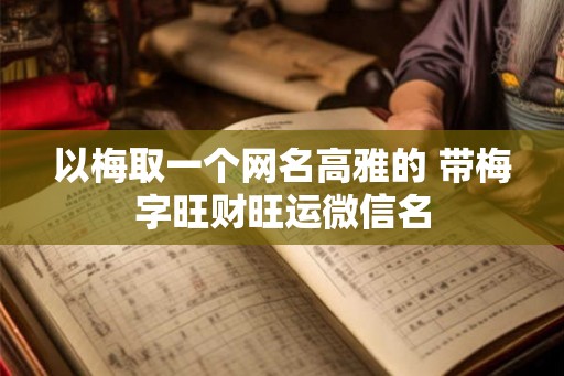 以梅取一个网名高雅的 带梅字旺财旺运微信名