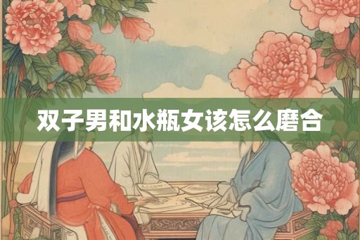 双子男和水瓶女该怎么磨合