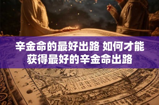 辛金命的最好出路 如何才能获得最好的辛金命出路