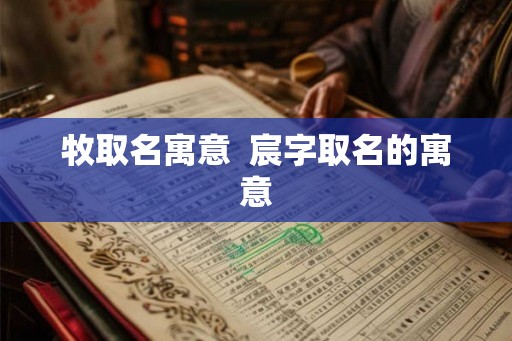 牧取名寓意 宸字取名的寓意 牧取名寓意 宸字取名的寓意