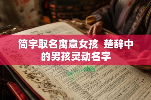 简字取名寓意女孩  楚辞中的男孩灵动名字