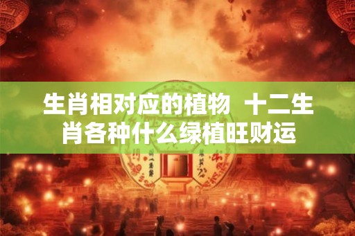 生肖相对应的植物  十二生肖各种什么绿植旺财运