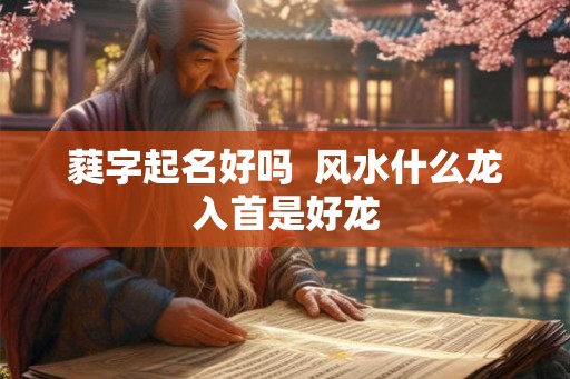 蕤字起名好吗 风水什么龙入首是好龙 蕤字起名好吗 风水什么龙入首是好龙