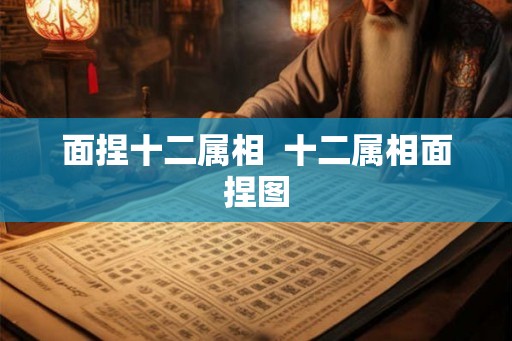 面捏十二属相 十二属相面捏图 面捏十二属相 十二属相面捏图