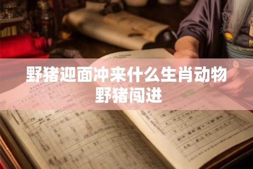 野猪迎面冲来什么生肖动物 野猪闯进