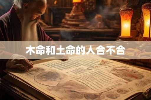 木命和土命的人合不合