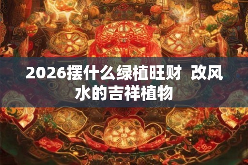2026摆什么绿植旺财  改风水的吉祥植物
