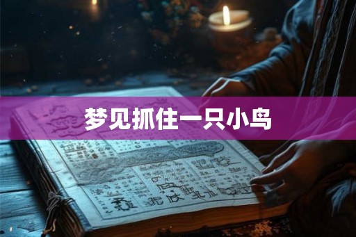 梦见抓住一只小鸟
