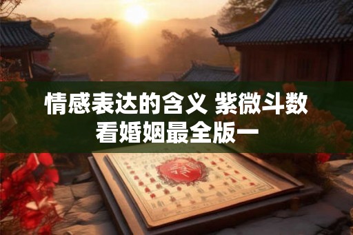 情感表达的含义 紫微斗数看婚姻最全版一