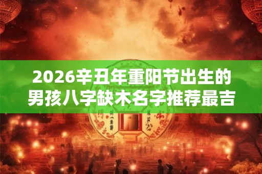 2026辛丑年重阳节出生的男孩八字缺木名字推荐最吉利