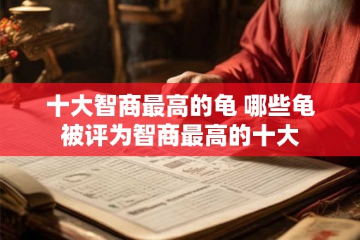 十大智商最高的龟 哪些龟被评为智商最高的十大
