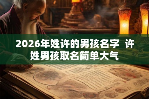 2026年姓许的男孩名字  许姓男孩取名简单大气