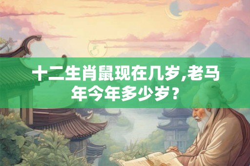 十二生肖鼠现在几岁,老马年今年多少岁？