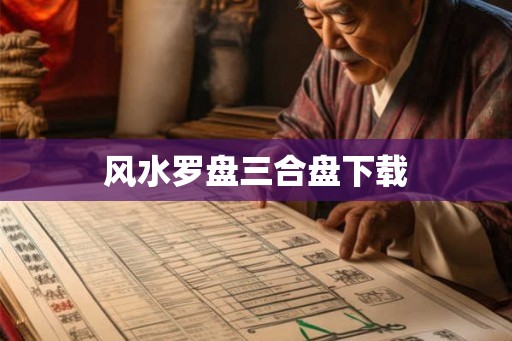 风水罗盘三合盘下载
