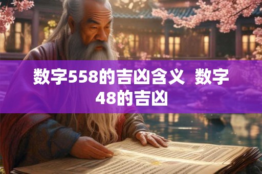 数字558的吉凶含义 数字48的吉凶 数字558的吉凶含义 数字48的吉凶