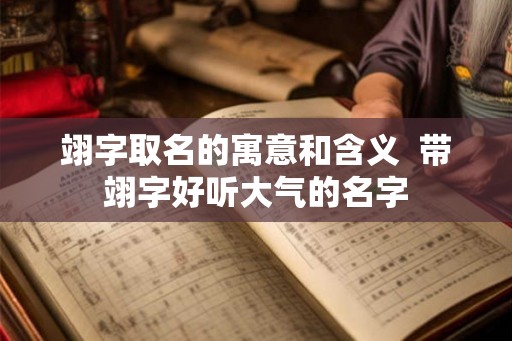 翊字取名的寓意和含义 带翊字好听大气的名字 翊字取名的寓意和含义 带翊字好听大气的名字
