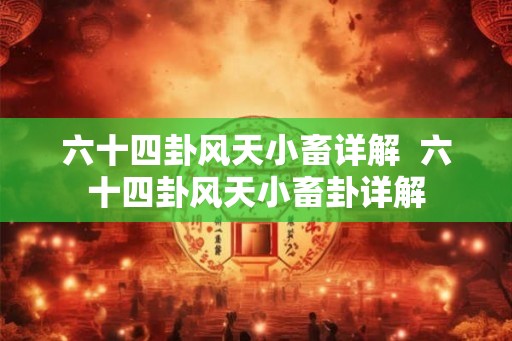 六十四卦风天小畜详解  六十四卦风天小畜卦详解