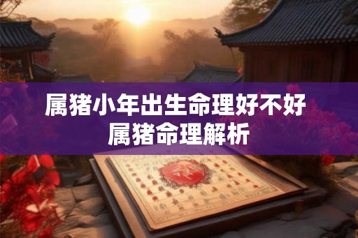属猪小年出生命理好不好 属猪命理解析