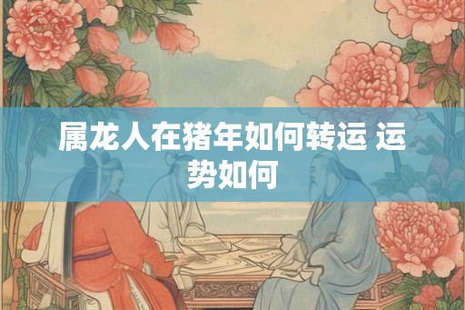 属龙人在猪年如何转运 运势如何