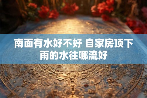 南面有水好不好 自家房顶下雨的水往哪流好 南面有水好不好 自家房顶下雨的水往哪流好