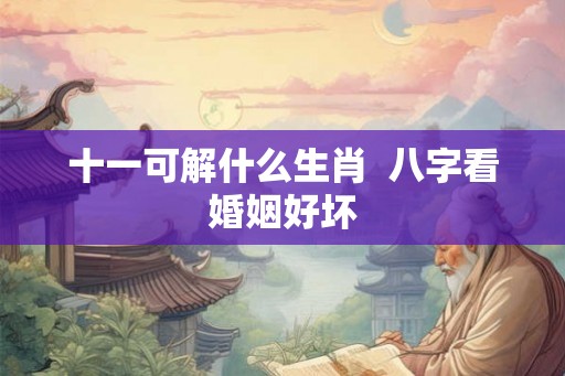 十一可解什么生肖  八字看婚姻好坏