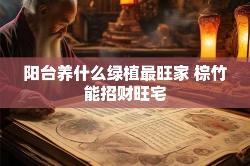 阳台养什么绿植最旺家 棕竹能招财旺宅