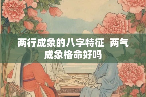 两行成象的八字特征  两气成象格命好吗