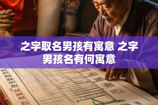 之字取名男孩有寓意 之字男孩名有何寓意 之字取名男孩有寓意 之字男孩名有何寓意