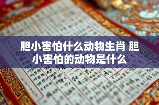 胆小害怕什么动物生肖 胆小害怕的动物是什么