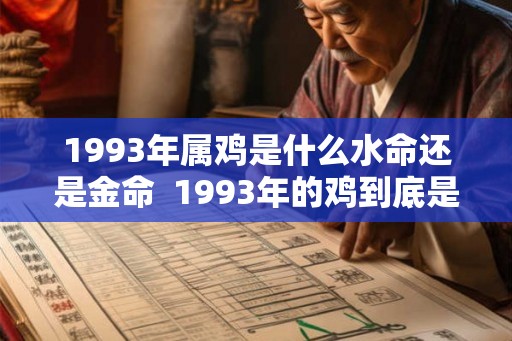 1993年属鸡是什么水命还是金命  1993年的鸡到底是金命还是水命
