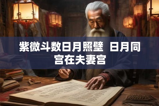紫微斗数日月照壁  日月同宫在夫妻宫