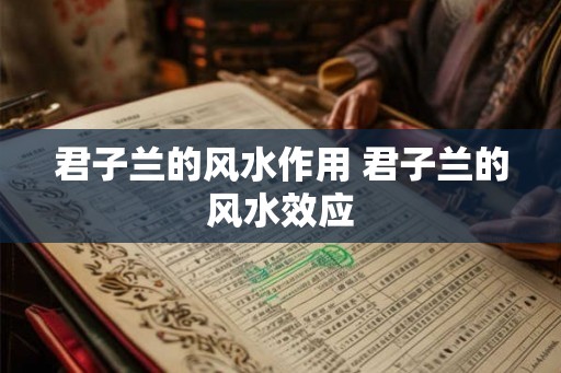 君子兰的风水作用 君子兰的风水效应